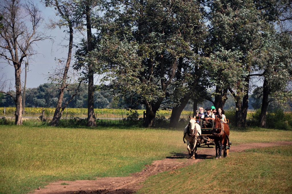 Estancia Don Silvano Guest House Diego Gaynor Exterior foto